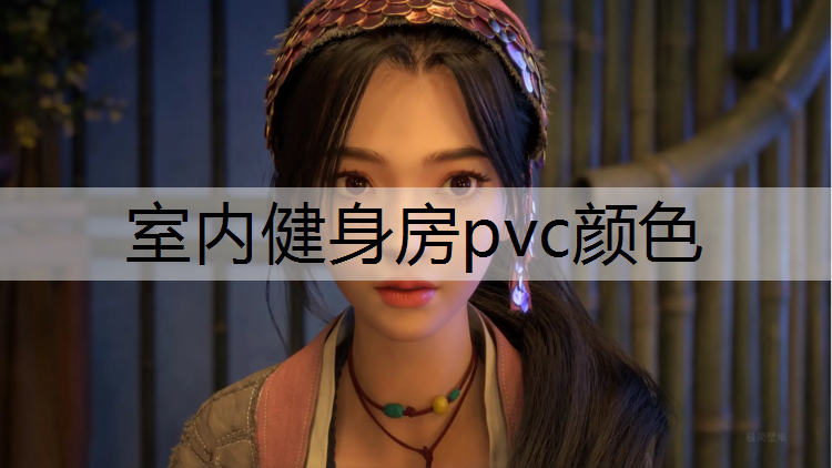 室内健身房pvc颜色